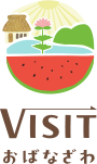 VISITおばなざわ