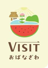 VISITおばなざわ